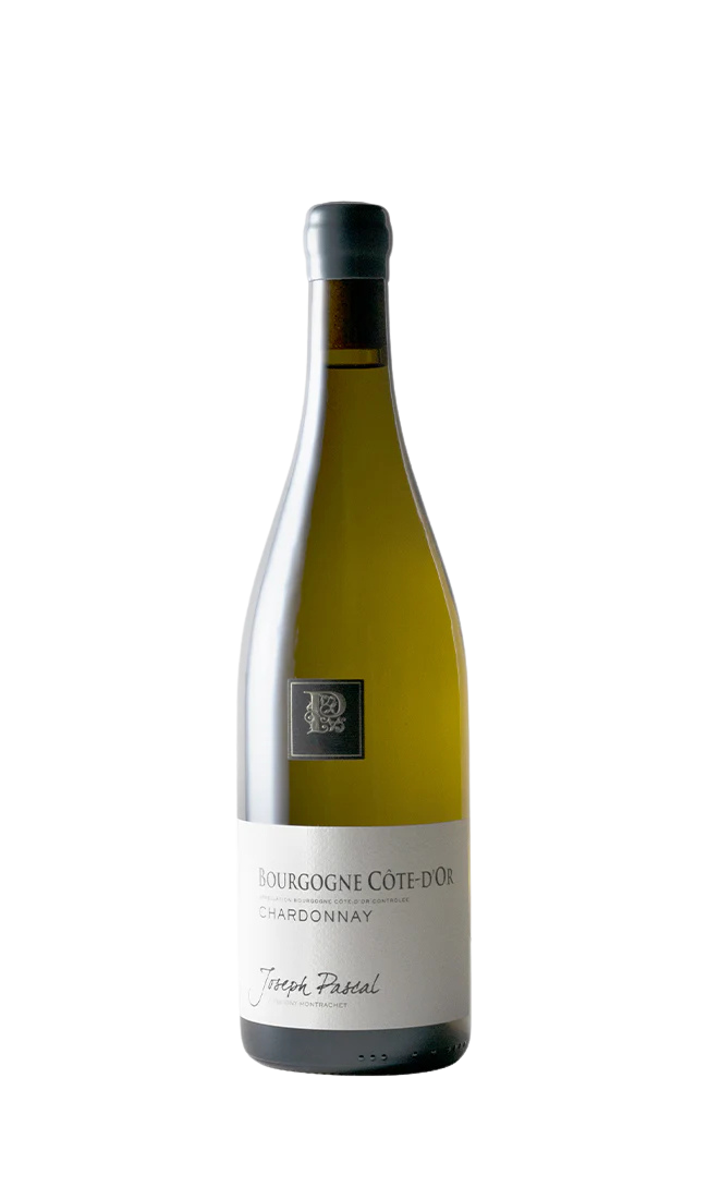 Joseph Pascal, Bourgogne Côte d'Or 2023